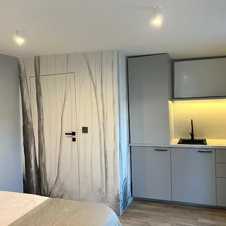 Goscinne Lidka 홈스테이 *