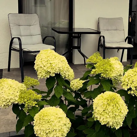 홈스테이 Goscinne Lidka