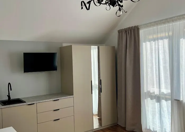 홈스테이 Goscinne Lidka