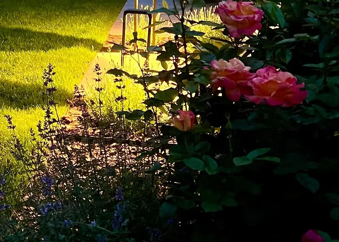 Goscinne Lidka 홈스테이 Dziwnów