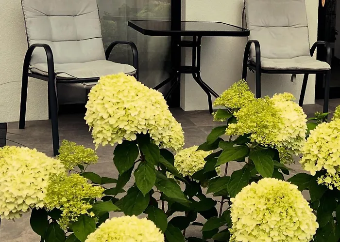 홈스테이 Goscinne Lidka